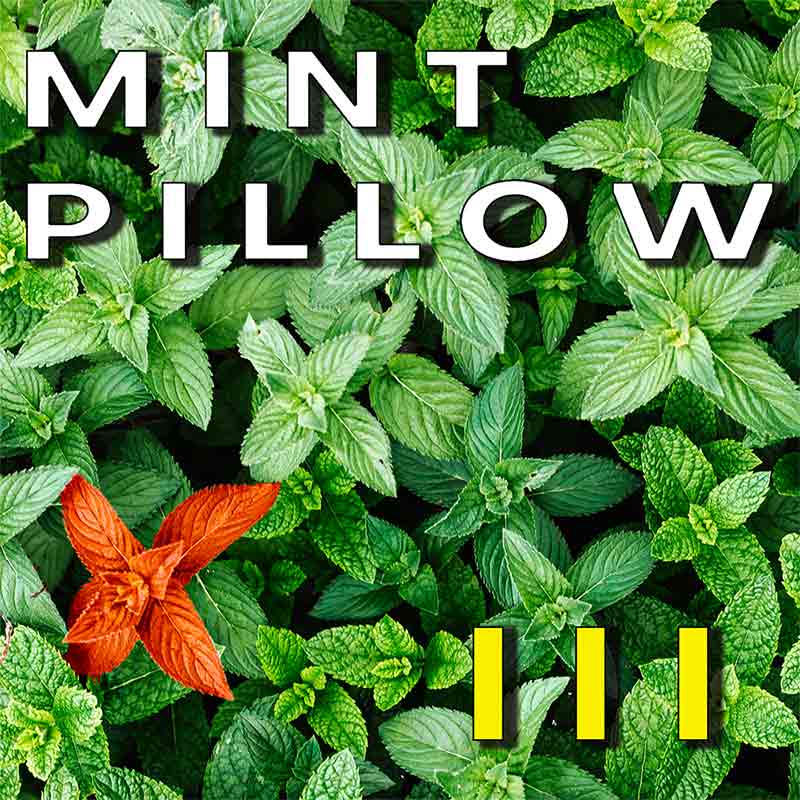 Mint Pillow III
